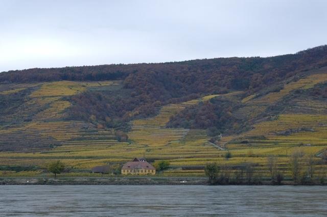 HerbstWachau (37)