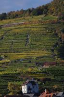 HerbstWachau (34)