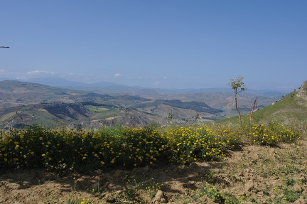 Landschaft0516 (39)