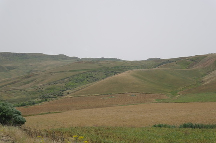 LandschaftRiesi 2016 (5)