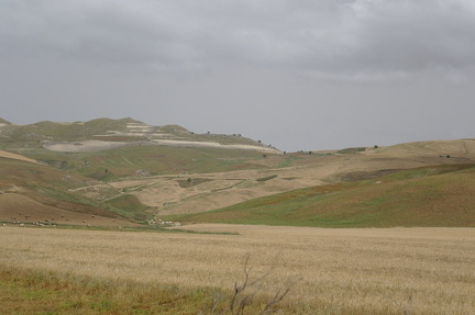 LandschaftRiesi 2016 (20)