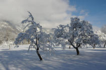 Hier läßt es sich aushalten